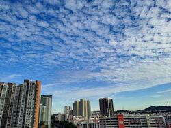 Blk 454 Clementi Avenue 3 (Clementi), HDB 4 Rooms #483583021